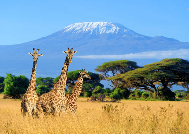 Nairobi, Kenya